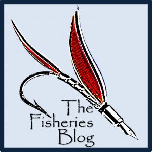blog fish|The Fisheries Blog – The Fisheries Blog: Your weekly .